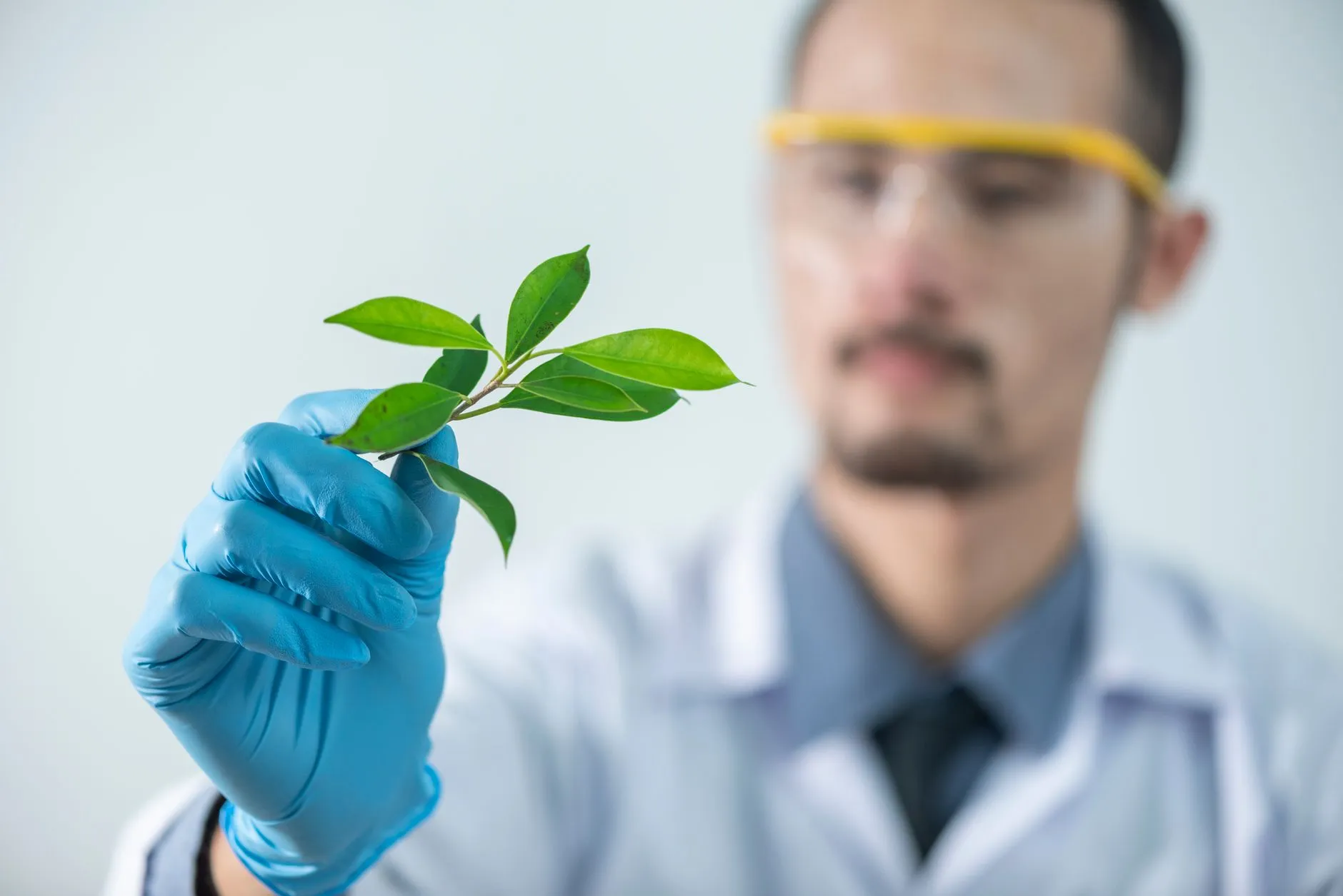 化妆品植物提取物原料在护肤品配方中的技术优势解析正文配图 1
