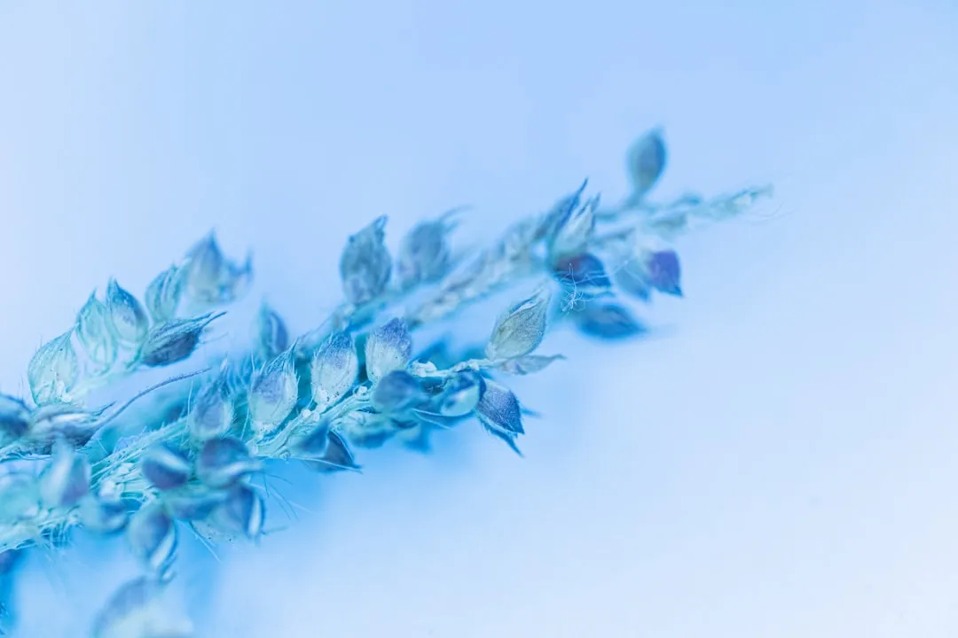 化妆品植物提取物原料技术解析:花恬姬产品稳定性与活性成分保留方案正文配图 1