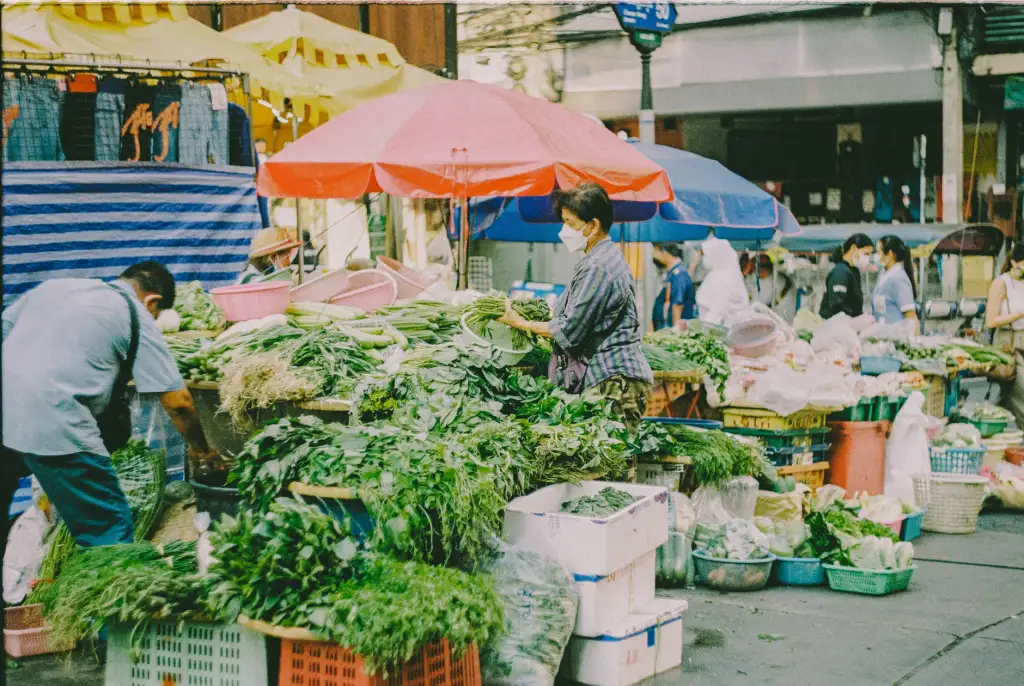 2025年化妆品植物提取物原料行业新规解读与合规要点
